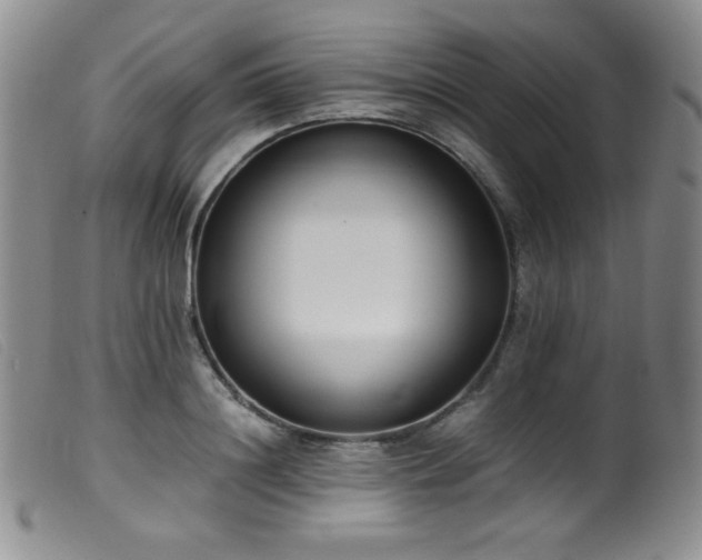 X0000099550844200805161450