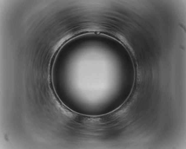 X0000099550845200805161450