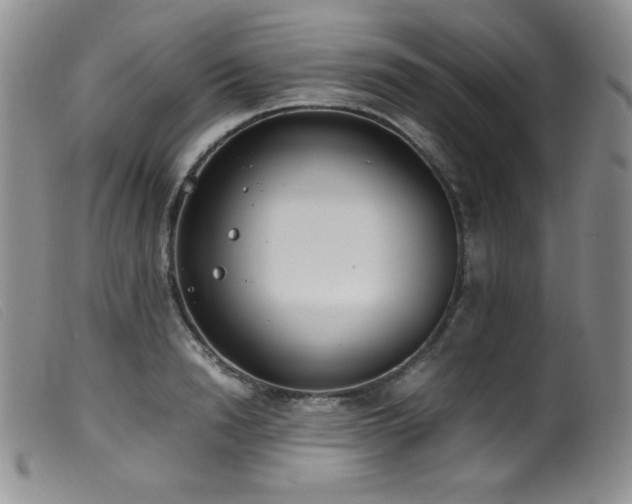 X0000099550846200805161450