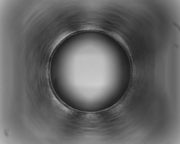 X0000099550847200805161450