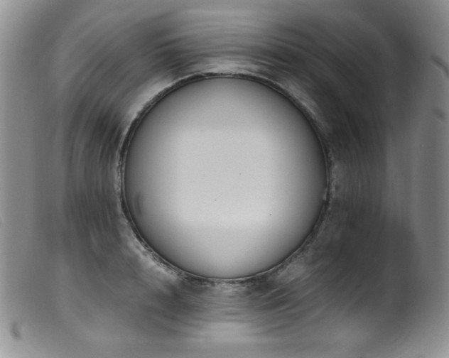 X0000099550848200805161450