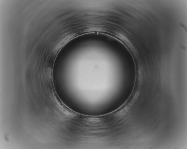 X0000099550849200805161450