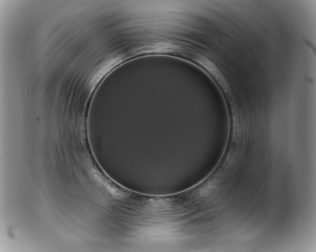 X0000099550850200805161450