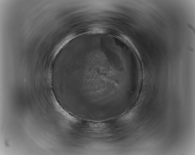 X0000099550851200805161450