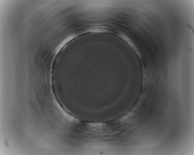 X0000099550853200805161450