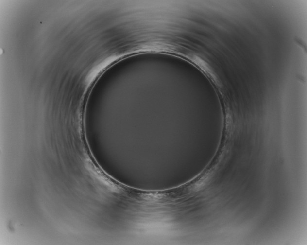 X0000099550854200805161450