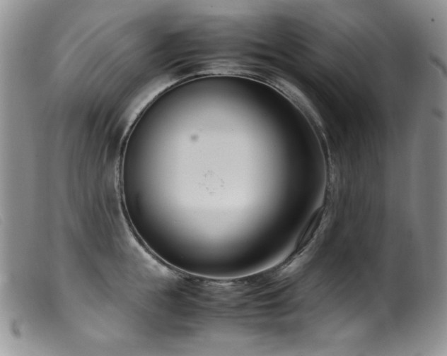X0000099550855200805161450