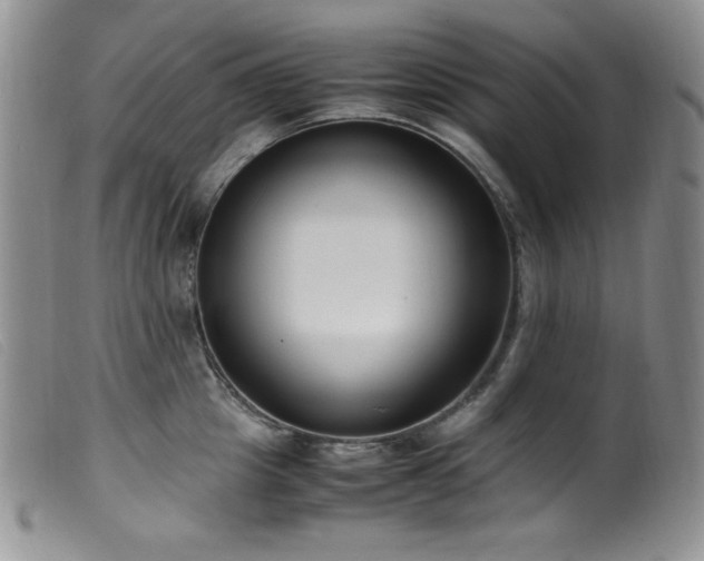 X0000099550857200805161450