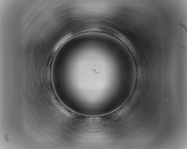 X0000099550858200805161450