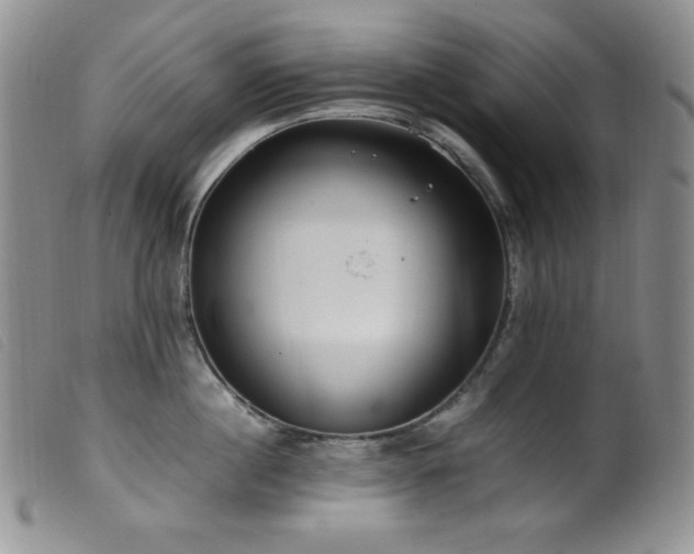 X0000099550860200805161450