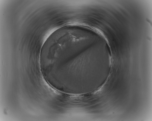 X0000099550863200805161450