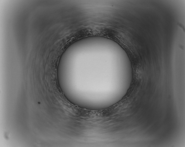 X0000099550865200805161449
