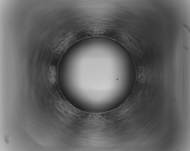 X0000099550866200805161449