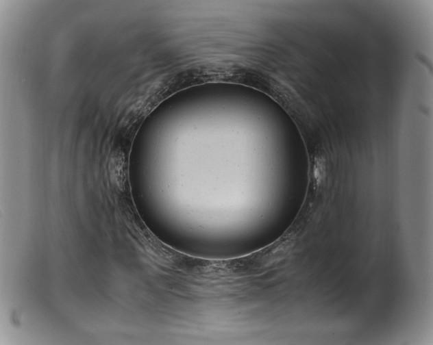 X0000099550867200805161449
