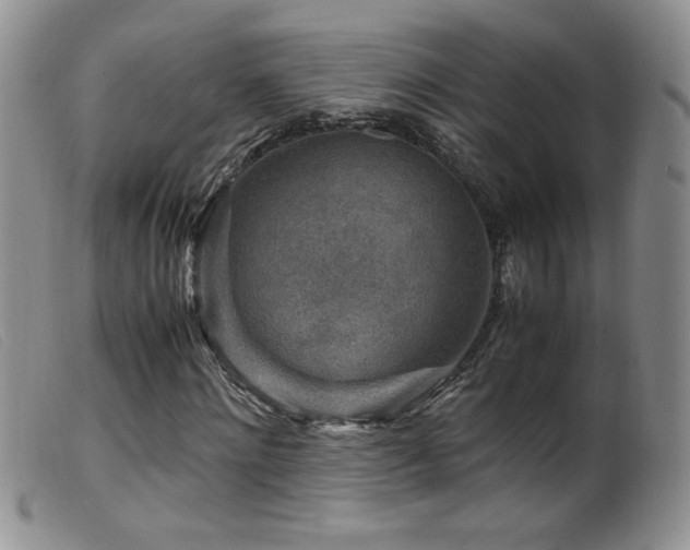 X0000099550868200805161449