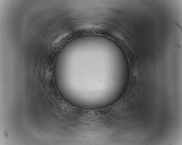 X0000099550869200805161449
