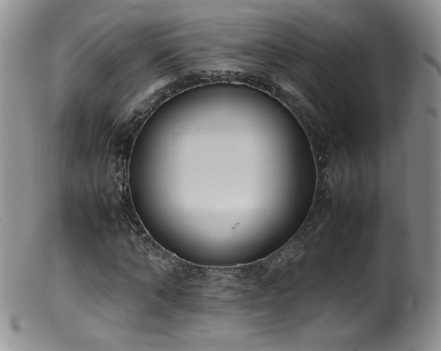X0000099550870200805161449