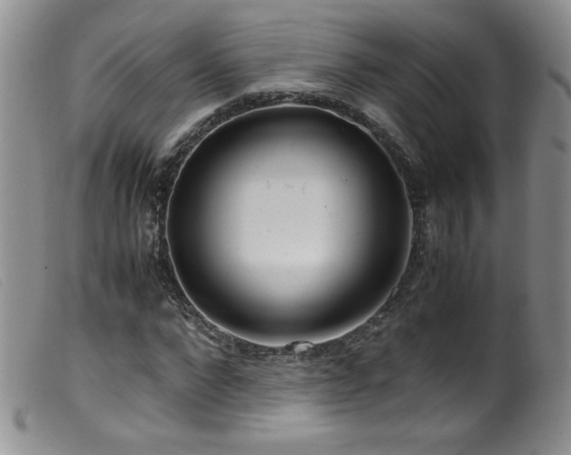 X0000099550872200805161449