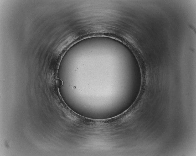 X0000099550873200805161449