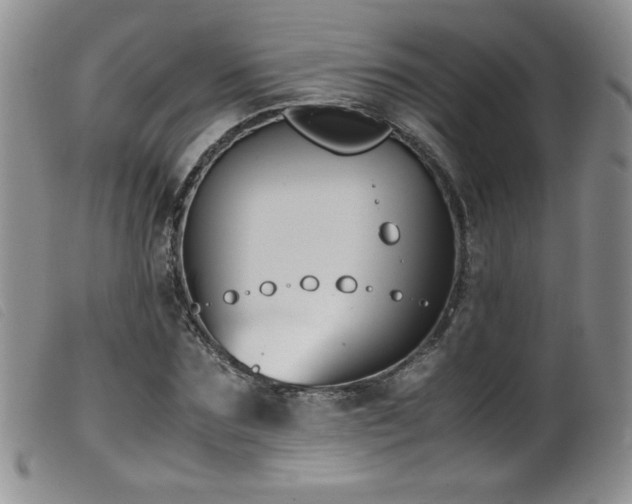X0000099550875200805161449