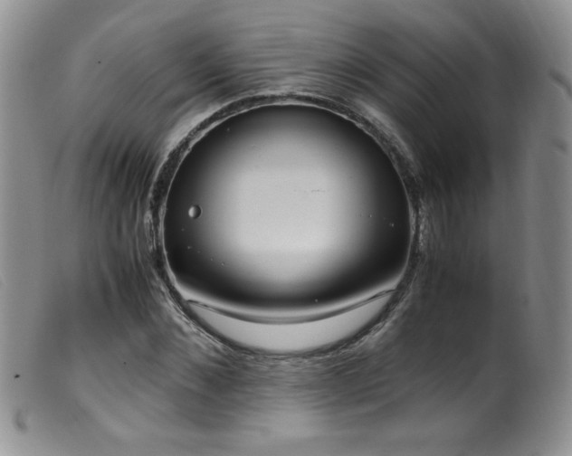X0000099550876200805161449