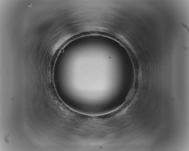 X0000099550877200805161449
