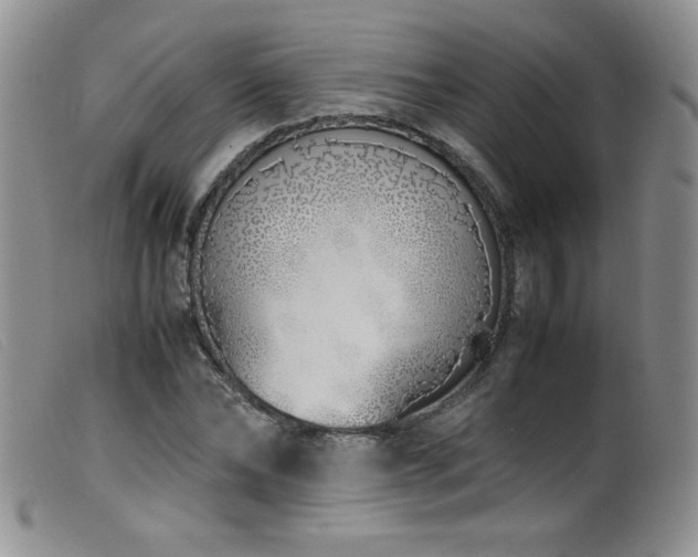 X0000099550878200805161449