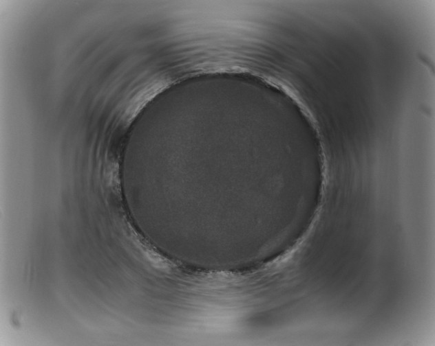 X0000099550881200805161449