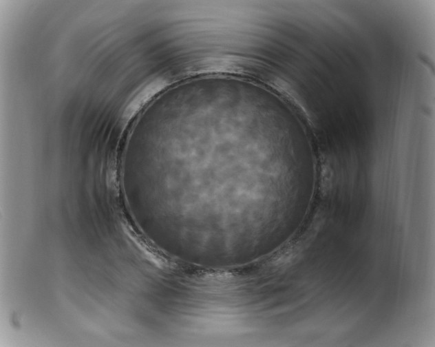 X0000099550882200805161449