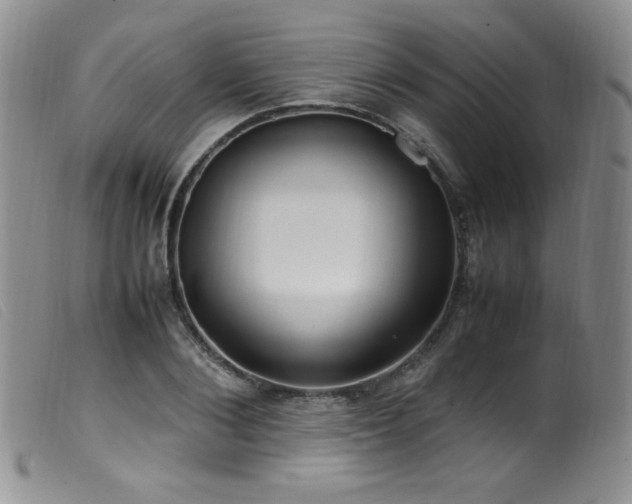 X0000099550884200805161449