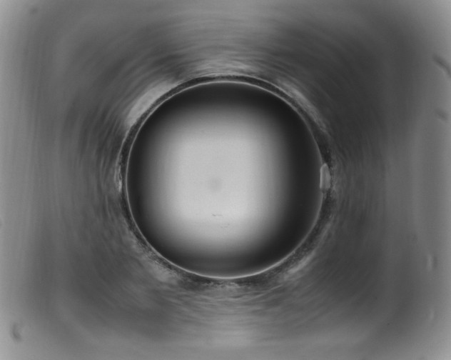 X0000099550885200805161449