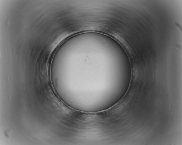 X0000099550886200805161449