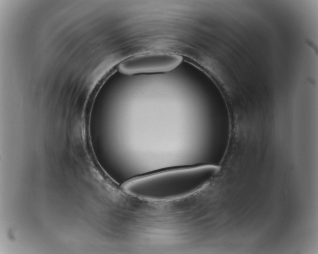 X0000099550888200805161449