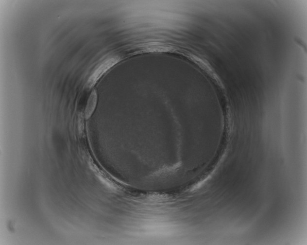 X0000099550889200805161449