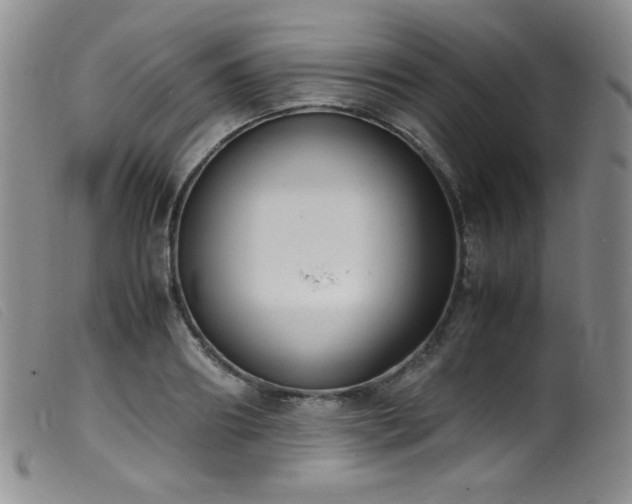 X0000099550890200805161449
