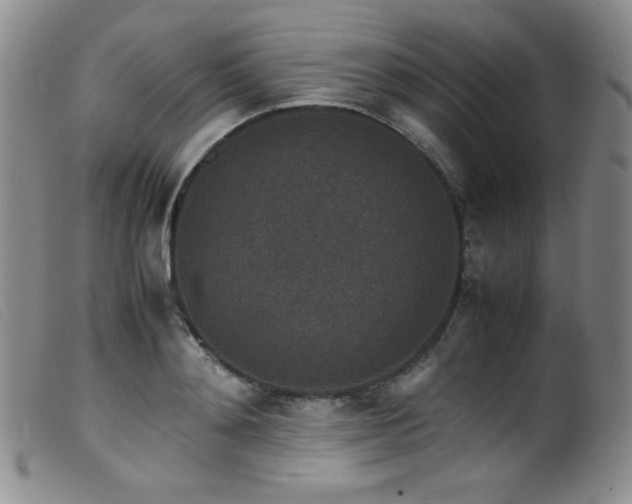 X0000099550892200805161449