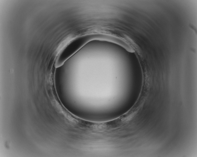 X0000099550893200805161449