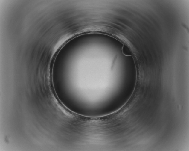 X0000099550894200805161449