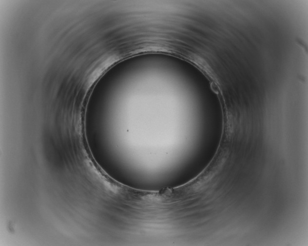 X0000099550898200805161449