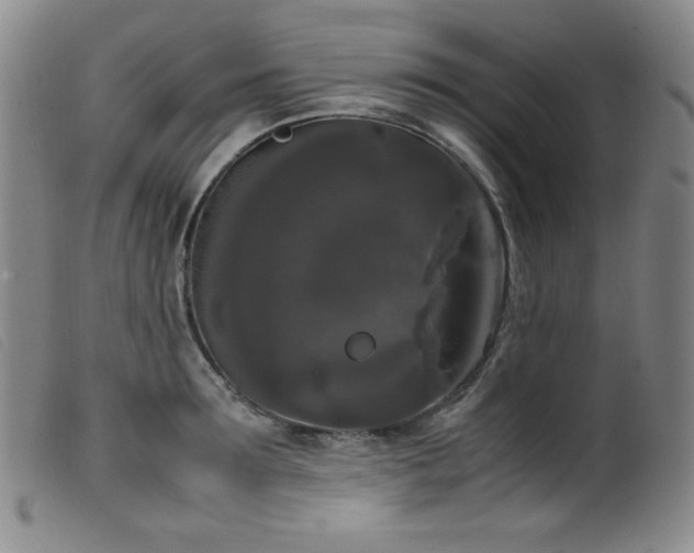 X0000099550899200805161449