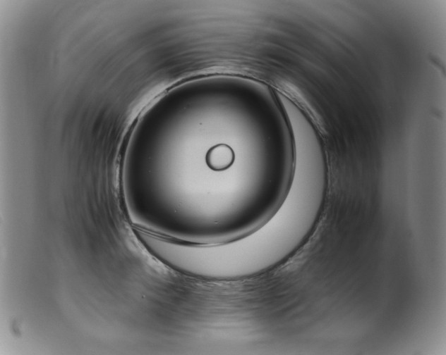 X0000099550900200805161449