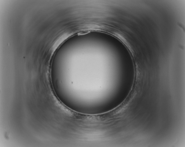 X0000099550901200805161449