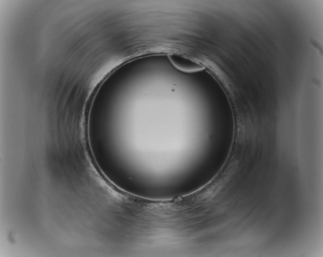 X0000099550902200805161449