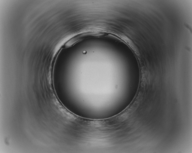 X0000099550904200805161449