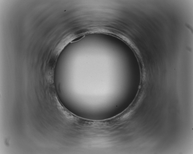X0000099550905200805161449