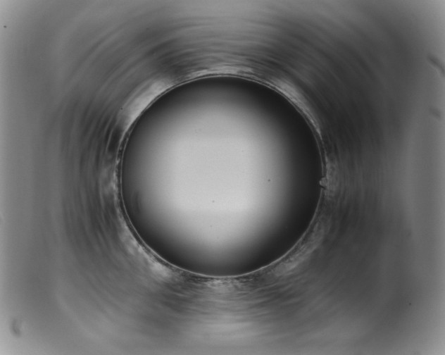 X0000099550906200805161449