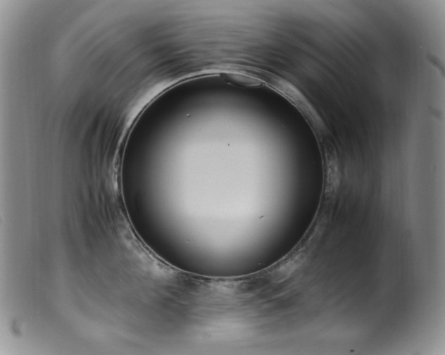 X0000099550908200805161449