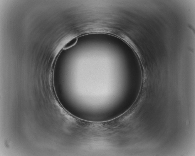 X0000099550909200805161449