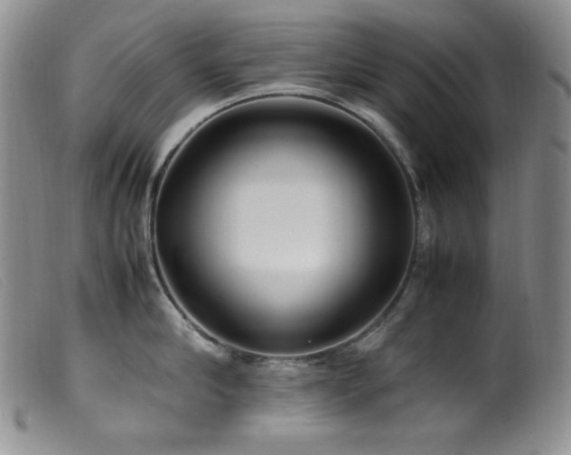X0000099550910200805161449