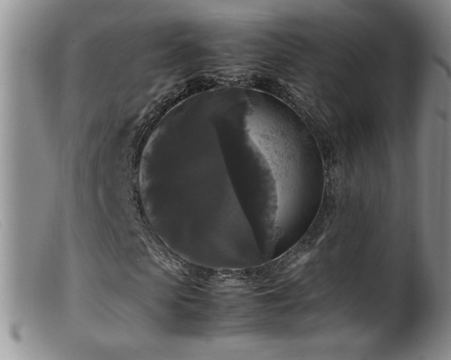 X0000099550913200805161448